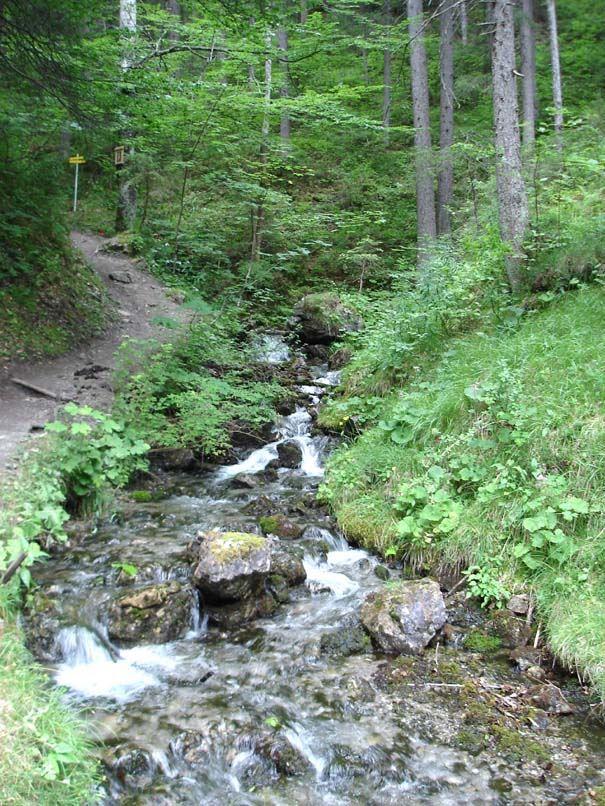 Biberwier