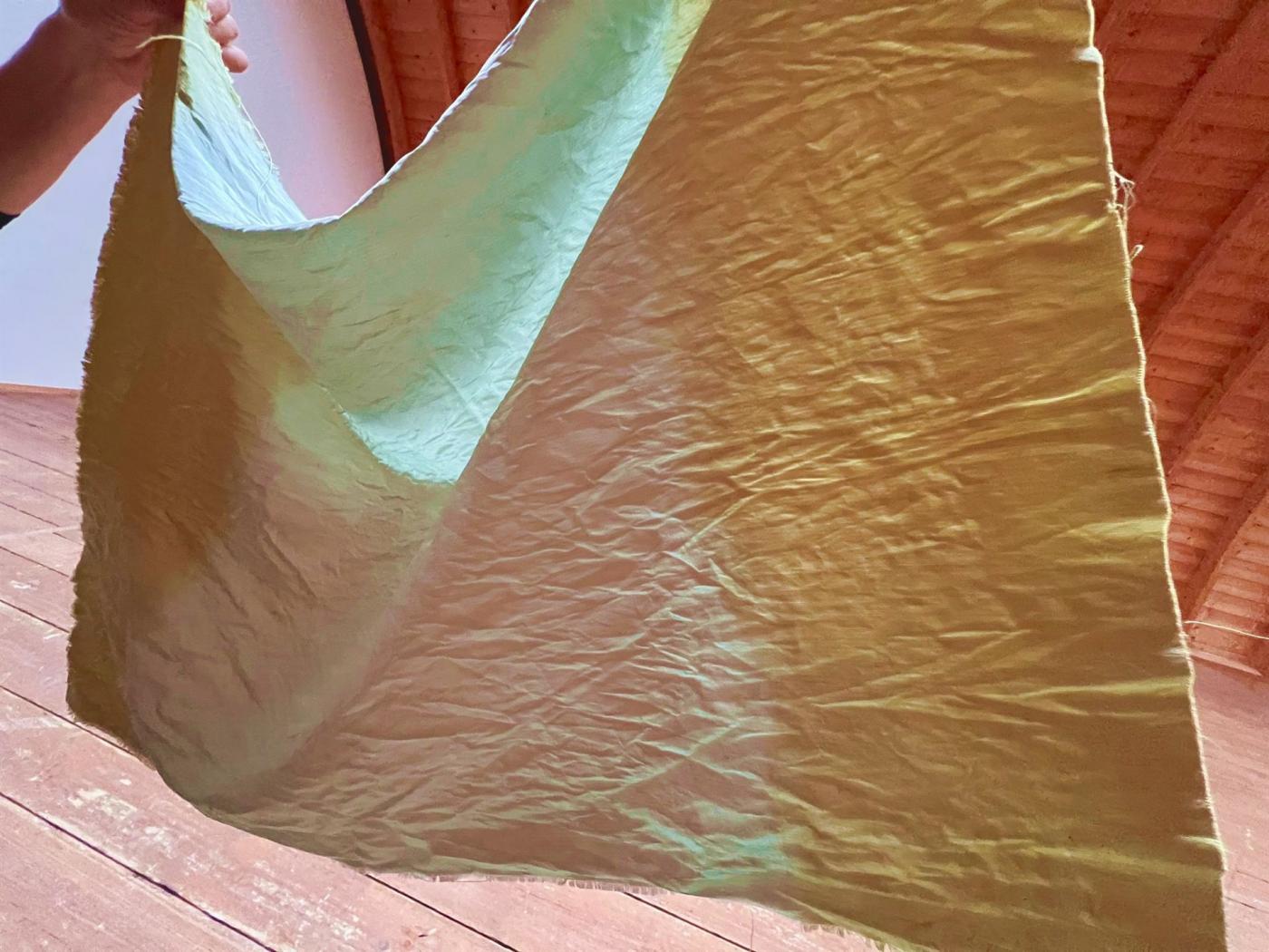 Ausstellungseröffnung des „Flussfahne"-Projekts  18.07.25