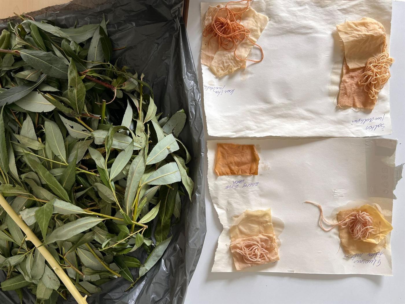 Ausstellungseröffnung des „Flussfahne"-Projekts  18.07.25
