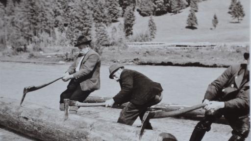 Ausstellung „Wege des Holzes“ im Wolfratshauser Stadtarchiv 2020